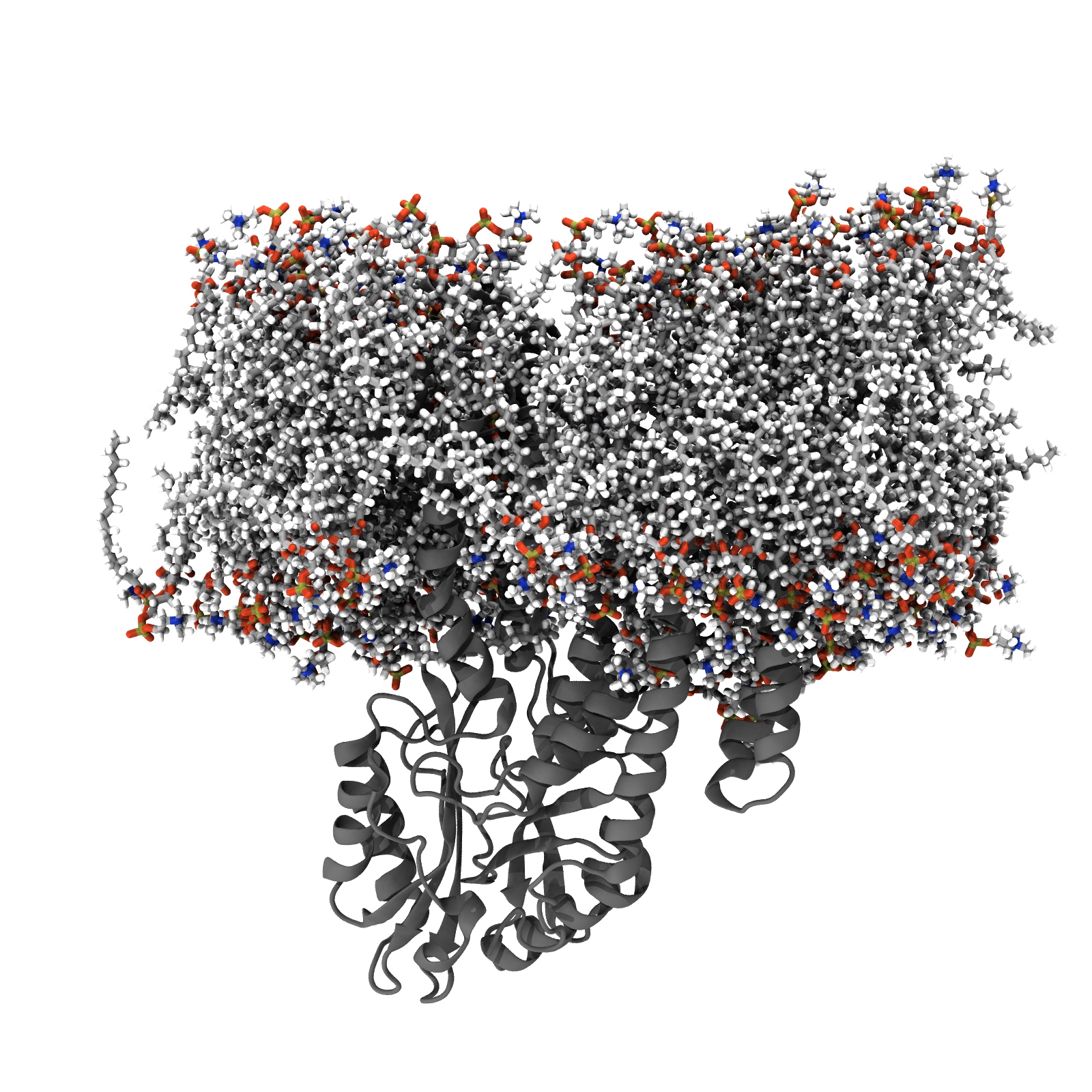 PDB | 9jj1 - MemProtMD
